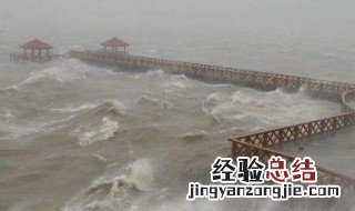 台风黑格比命名由来 台风黑格比过境后现场情况