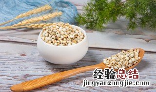 薏米是先炒还是先泡 薏米是先洗还是先炒怎么炒薏米仁