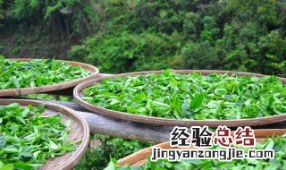 绿茶有哪些种类什么茶最好 绿茶有哪些种类