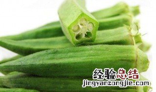 黄秋葵种植时间 黄秋葵种植