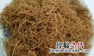 细辛的养殖方法和注意事项 细辛的养殖方法和注意事项有哪些