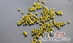 绿豆长虫了怎么处理 绿豆长虫了的处理方法