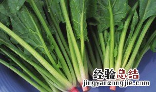 菠菜一般从一开始种植下去需要多久就可以吃了 菠菜种植多长可以吃