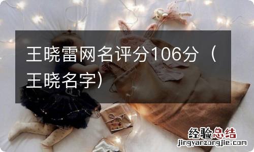 王晓名字 王晓雷网名评分106分