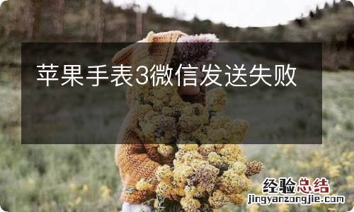 苹果手表3微信发送失败