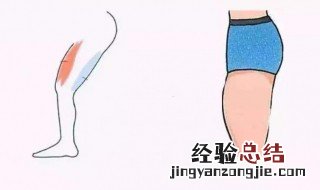 脂肪腿怎么瘦大腿和小腿的 脂肪腿怎么瘦大腿和小腿