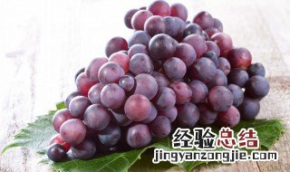 自酿葡萄酒为什么有点苦味 为什么自家酿的葡萄酒有苦味啊