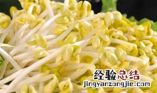 怎么用塑料瓶生豆芽 如何用塑料瓶生豆芽