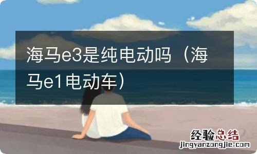 海马e1电动车 海马e3是纯电动吗