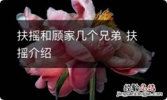 扶摇和顾家几个兄弟 扶摇介绍