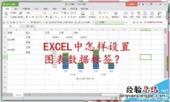 Excel图表怎么设置数据标签 EXCEL图表数据怎么设置标签?