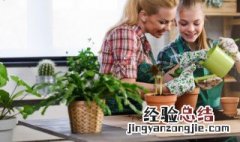 培育绿植小妙招 培育绿植小妙招视频