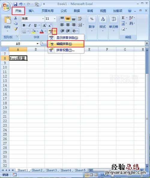 Excel2007中如何给一些陌生汉字标注拼音字母?