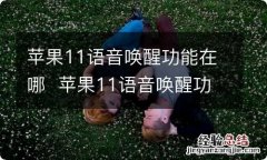 苹果11语音唤醒功能在哪苹果11语音唤醒功能在什么地方