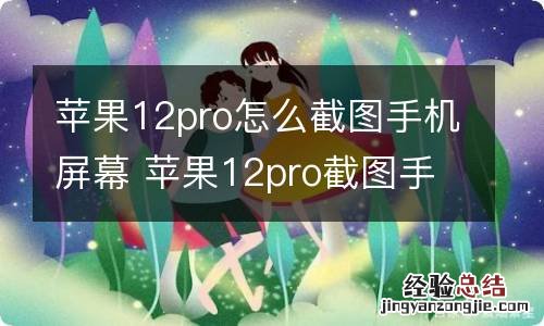 苹果12pro怎么截图手机屏幕 苹果12pro截图手机屏幕