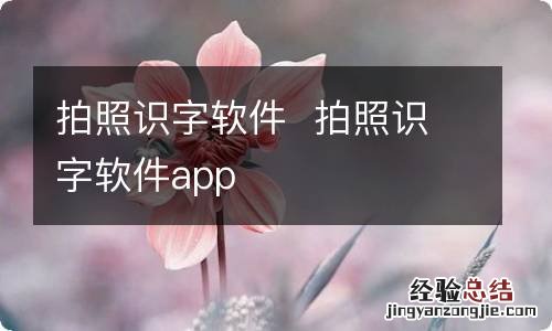 拍照识字软件拍照识字软件app