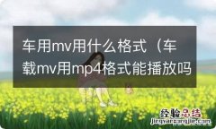 车载mv用mp4格式能播放吗 车用mv用什么格式