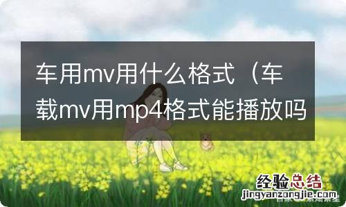 车载mv用mp4格式能播放吗 车用mv用什么格式