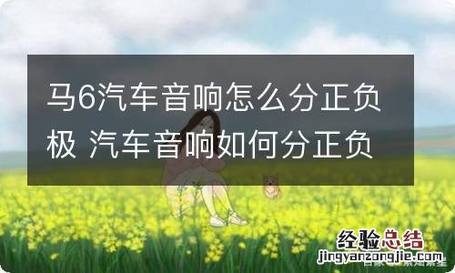 马6汽车音响怎么分正负极 汽车音响如何分正负极