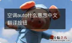 空调auto什么意思中文翻译按钮