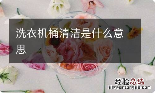 洗衣机桶清洁是什么意思