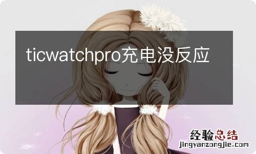 ticwatchpro充电没反应