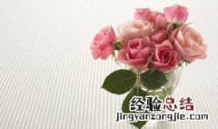 33支玫瑰代表什么意义 送33支玫瑰的寓意是什么