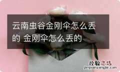 云南虫谷金刚伞怎么丢的 金刚伞怎么丢的