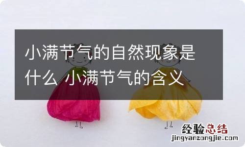 小满节气的自然现象是什么 小满节气的含义