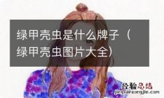 绿甲壳虫图片大全 绿甲壳虫是什么牌子