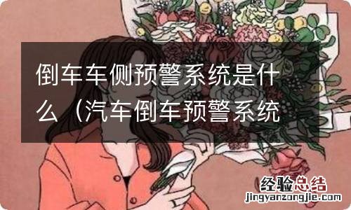 汽车倒车预警系统 倒车车侧预警系统是什么