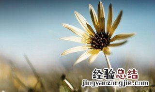 禅语人生经典句子 有什么禅语人生的句子