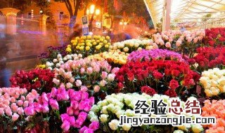栀子花如何养殖 栀子花养殖方法