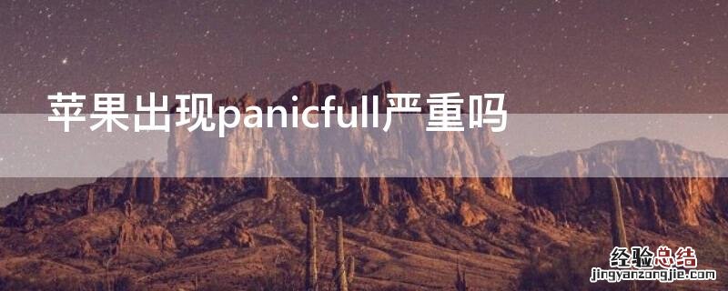 iPhone出现panicfull严重吗