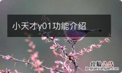 小天才y01功能介绍