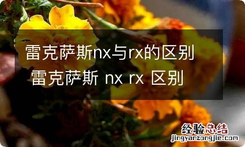 雷克萨斯nx与rx的区别 雷克萨斯 nx rx 区别