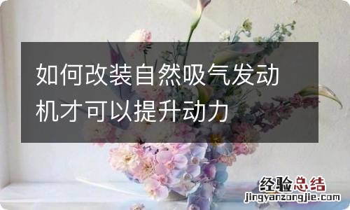 如何改装自然吸气发动机才可以提升动力