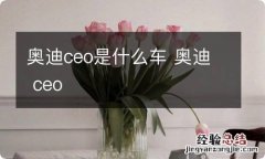 奥迪ceo是什么车 奥迪 ceo