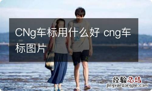 CNg车标用什么好 cng车标图片