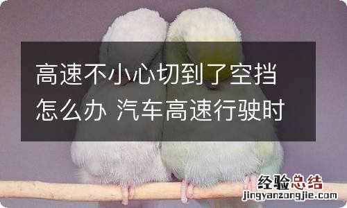 高速不小心切到了空挡怎么办 汽车高速行驶时切入空档会怎样