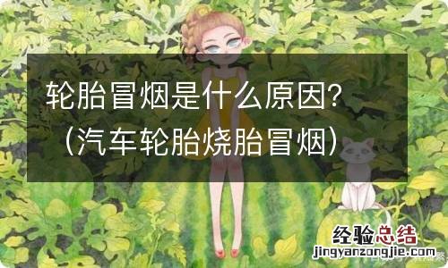 汽车轮胎烧胎冒烟 轮胎冒烟是什么原因？