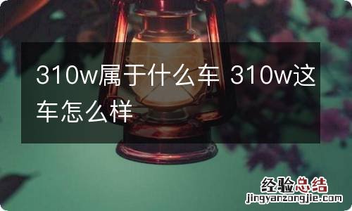 310w属于什么车 310w这车怎么样