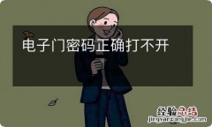 电子门密码正确打不开