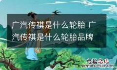 广汽传祺是什么轮胎 广汽传祺是什么轮胎品牌