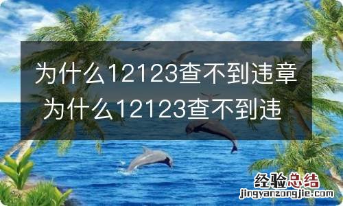 为什么12123查不到违章 为什么12123查不到违章图片