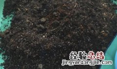 花生壳可以做肥料吗 花生壳可不可以做肥料