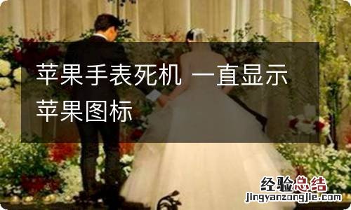 苹果手表死机 一直显示苹果图标