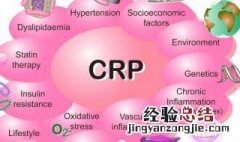 crp是什么 什么是crp