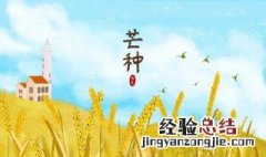 二十四节气芒种的内涵寓意 二十四节气芒种的来历