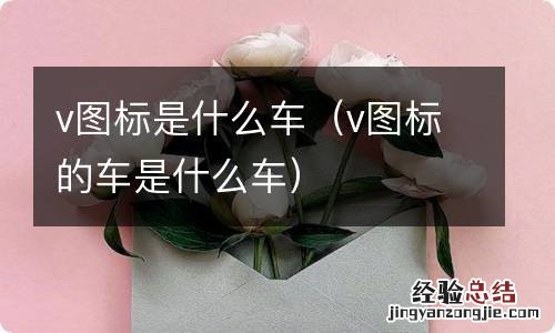 v图标的车是什么车 v图标是什么车